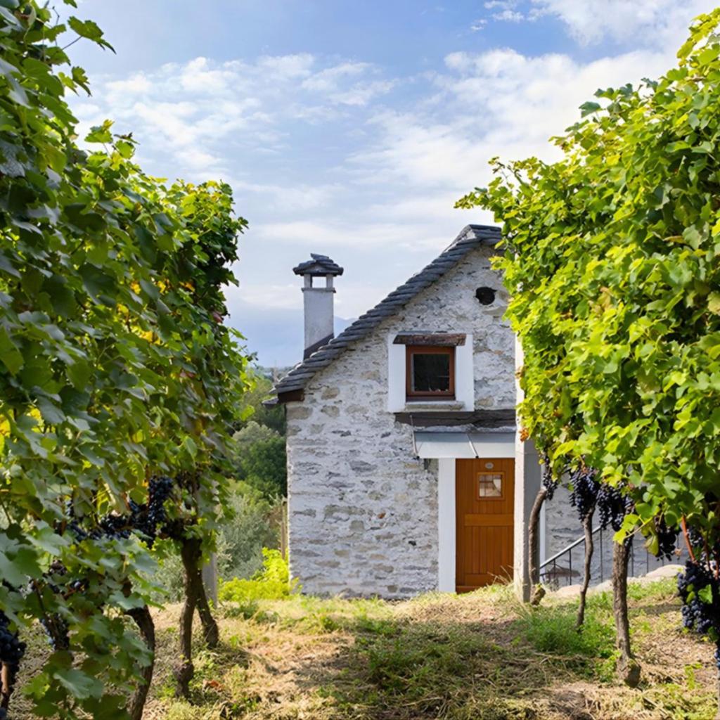 Image 14 - Agriturismo Fattoria l'Amorosa