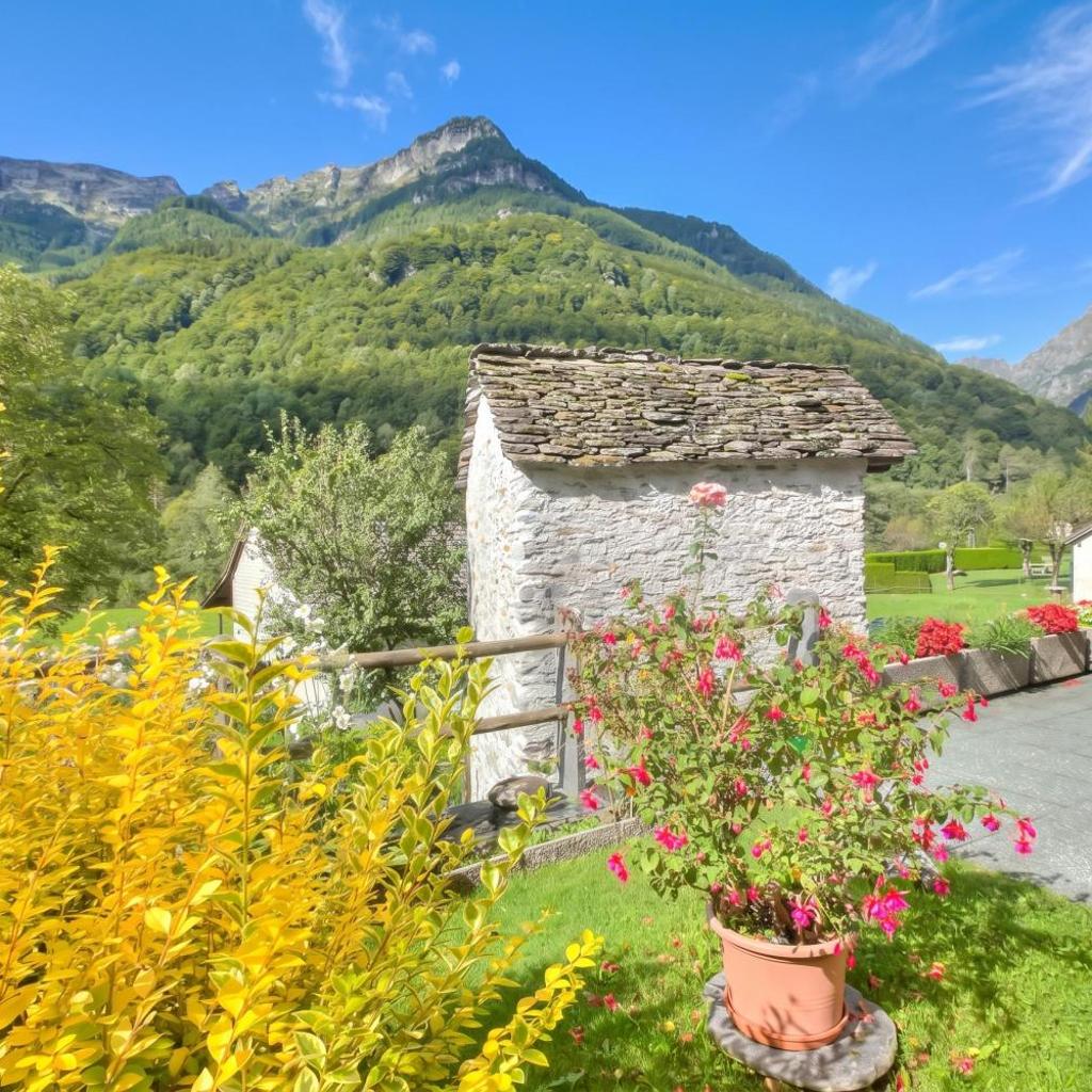 Image 30 - Ca Contina - Happy Rentals