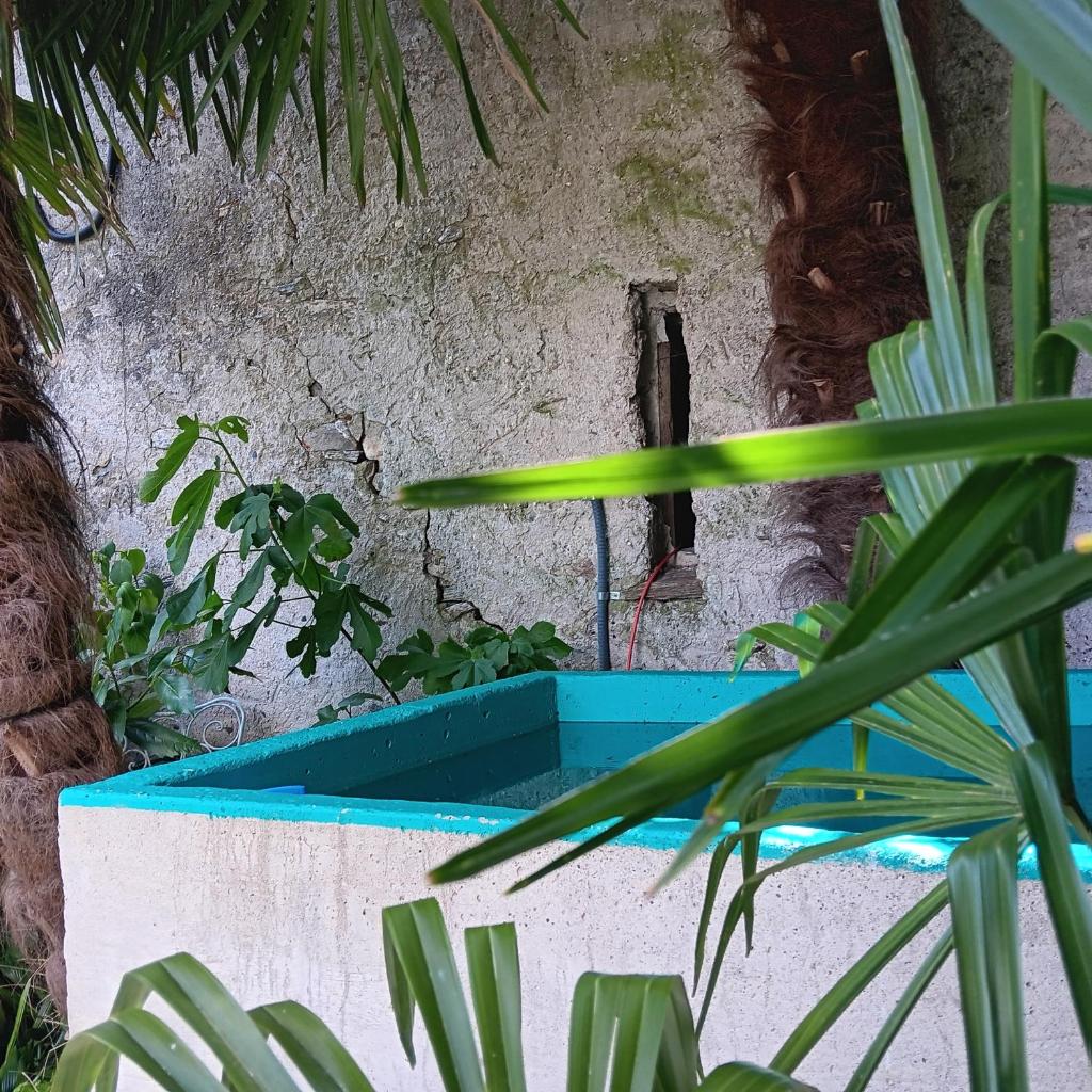 Image 160 - Casa Belgeri