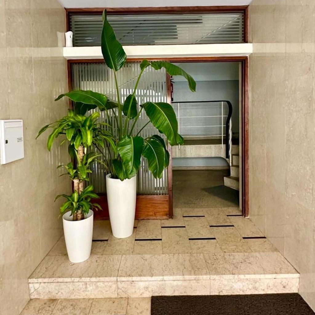 Photograph of Music Apartment I