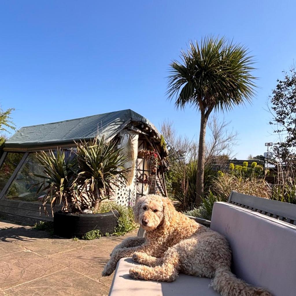 Photograph of Coastal Cabin - 2 rooms - Sleeps 3