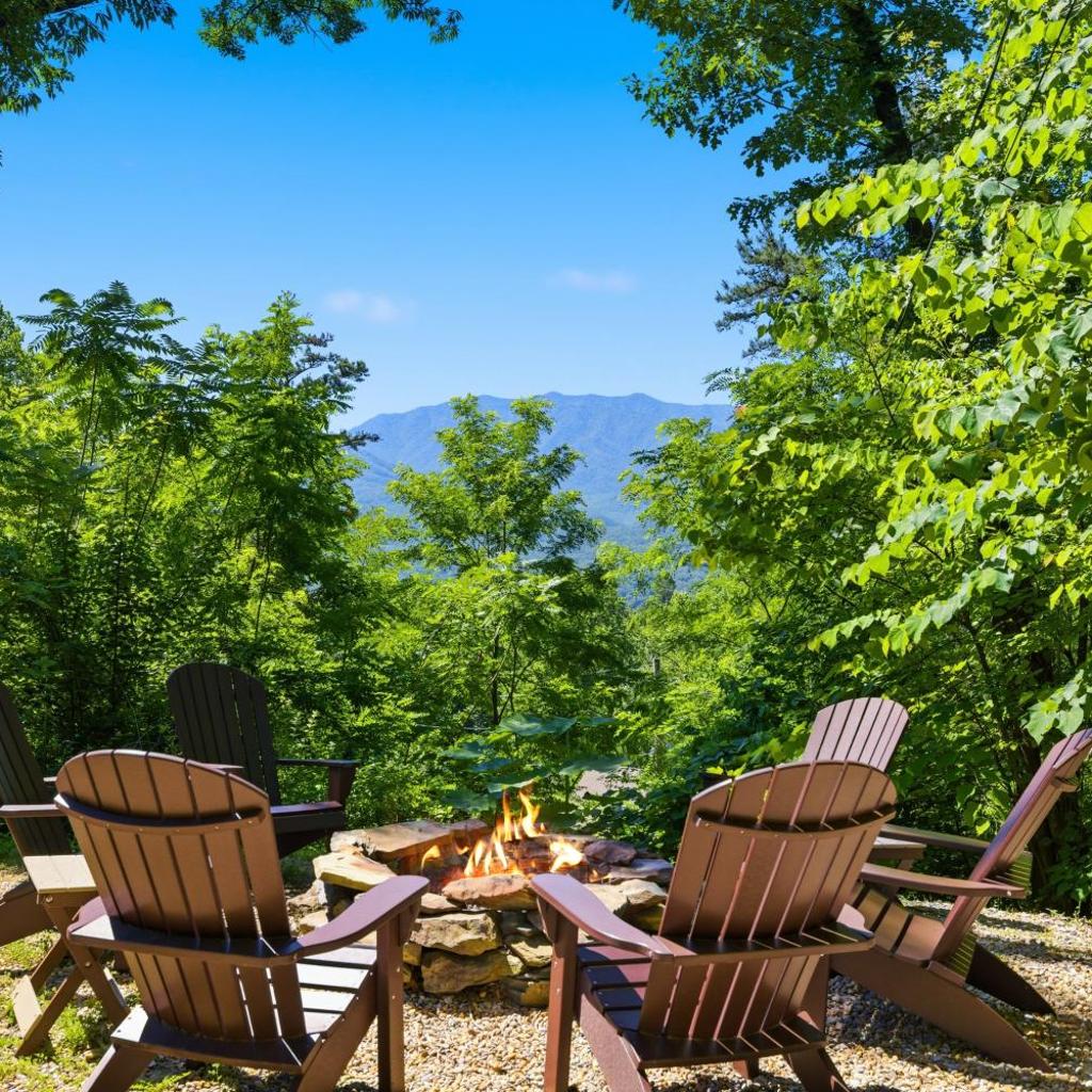 Photograph of A Tree Top View home
