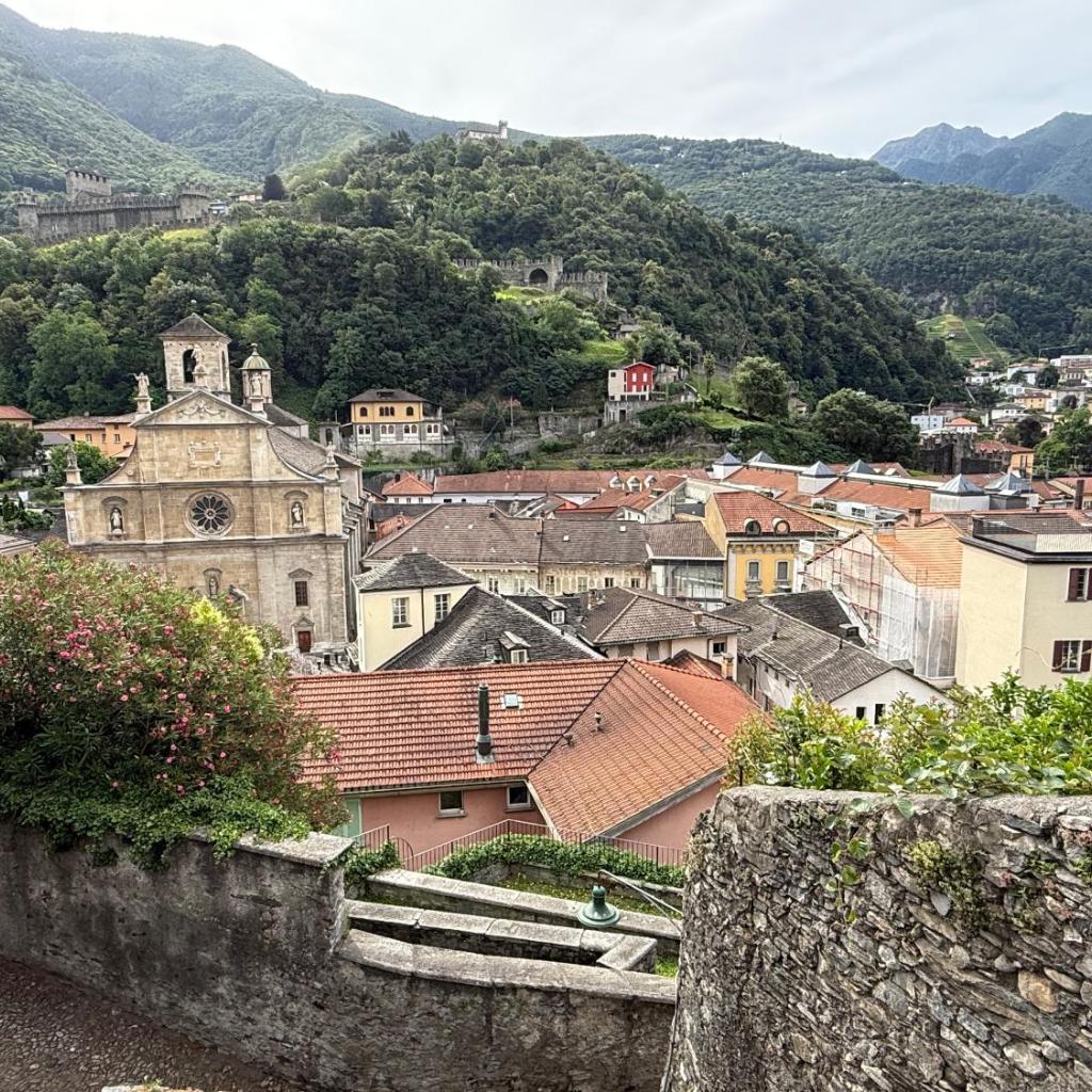 Image 3 - Violet-Sky Bellinzona
