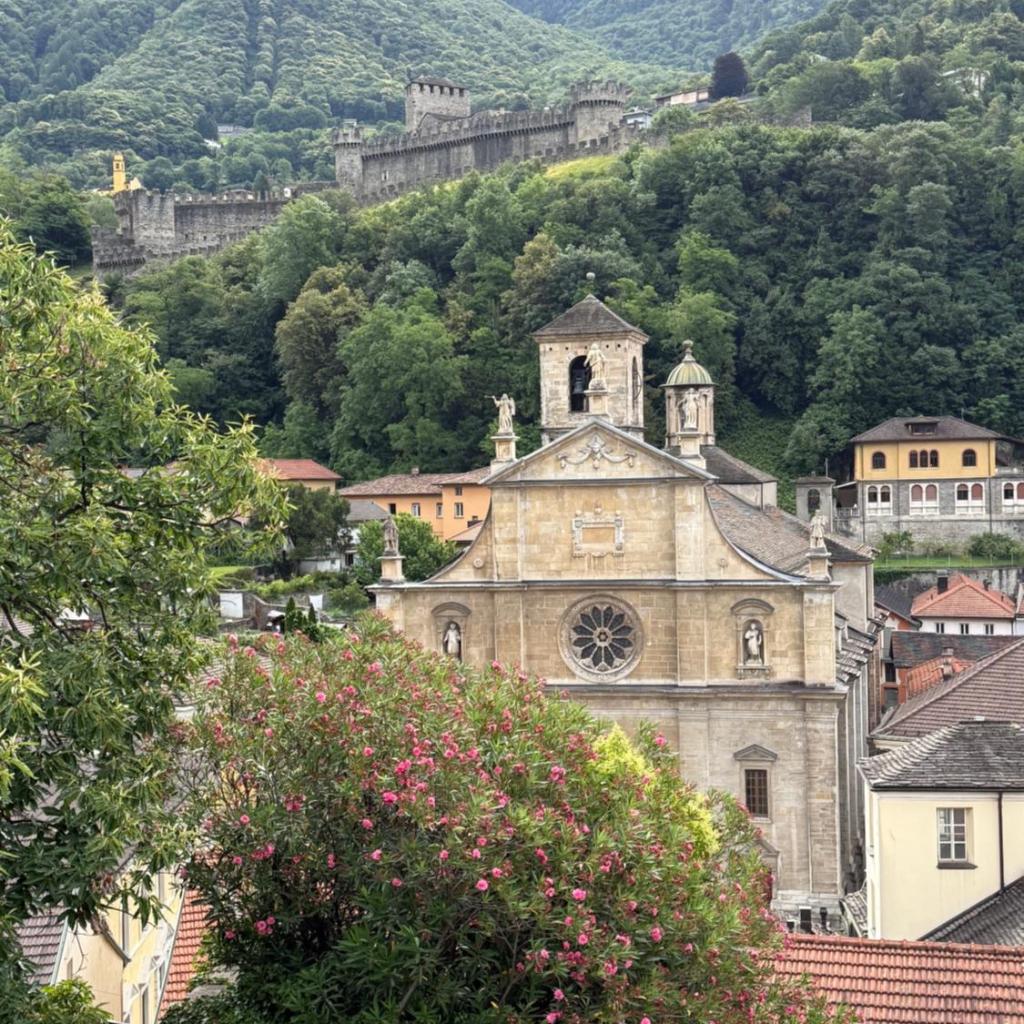 Image 2 - Violet-Sky Bellinzona