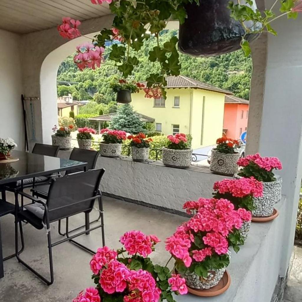 Image 1 - Casa Camelia