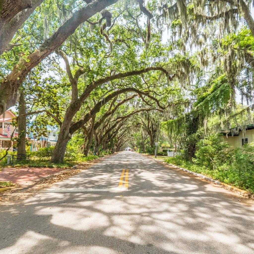 Photograph of Oak Canopy Escape - St Augustine Heated Pool