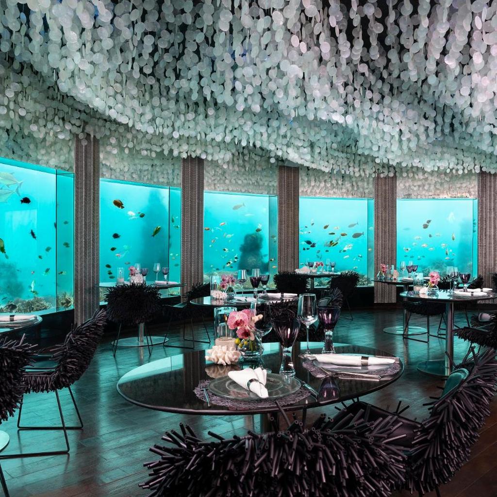 Niyama Maldives, photo 4
