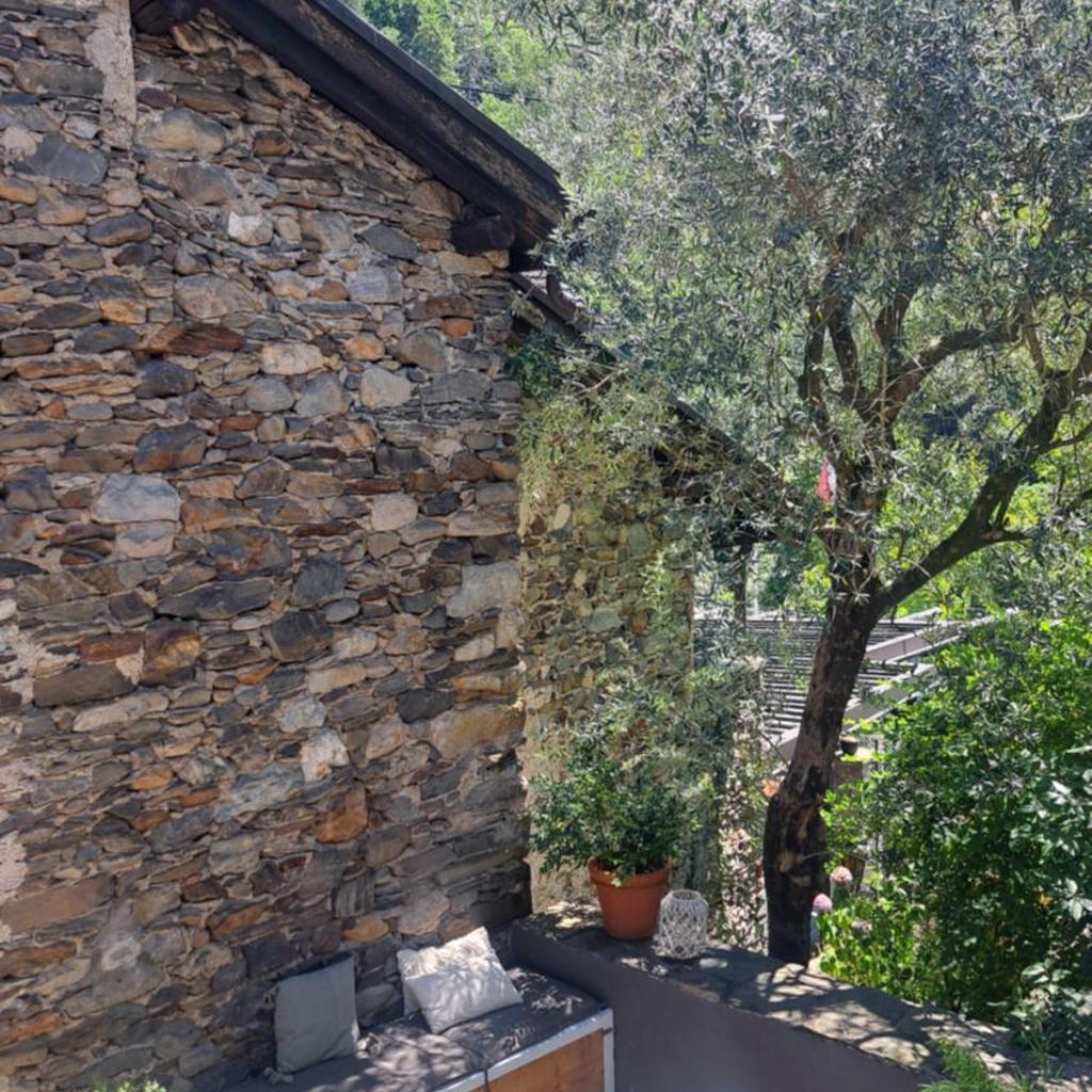 Image 57 - BnB Casa Bellavista Sant Abbondio 6577 Ranzo