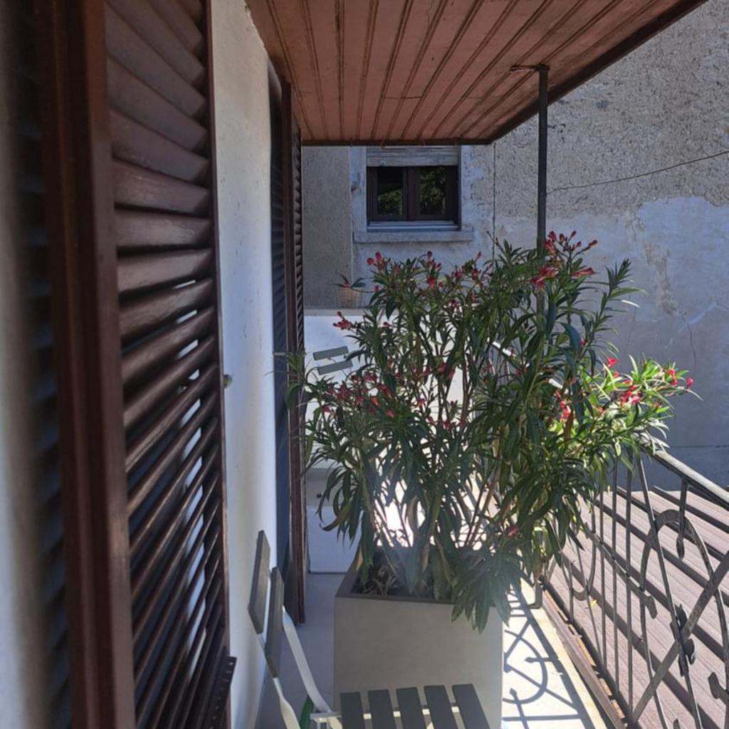 Image 60 - BnB Casa Bellavista Sant Abbondio 6577 Ranzo