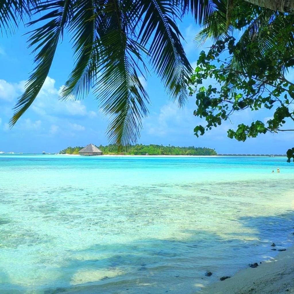 Portia Hotel & Spa - Beachfront, photo 2