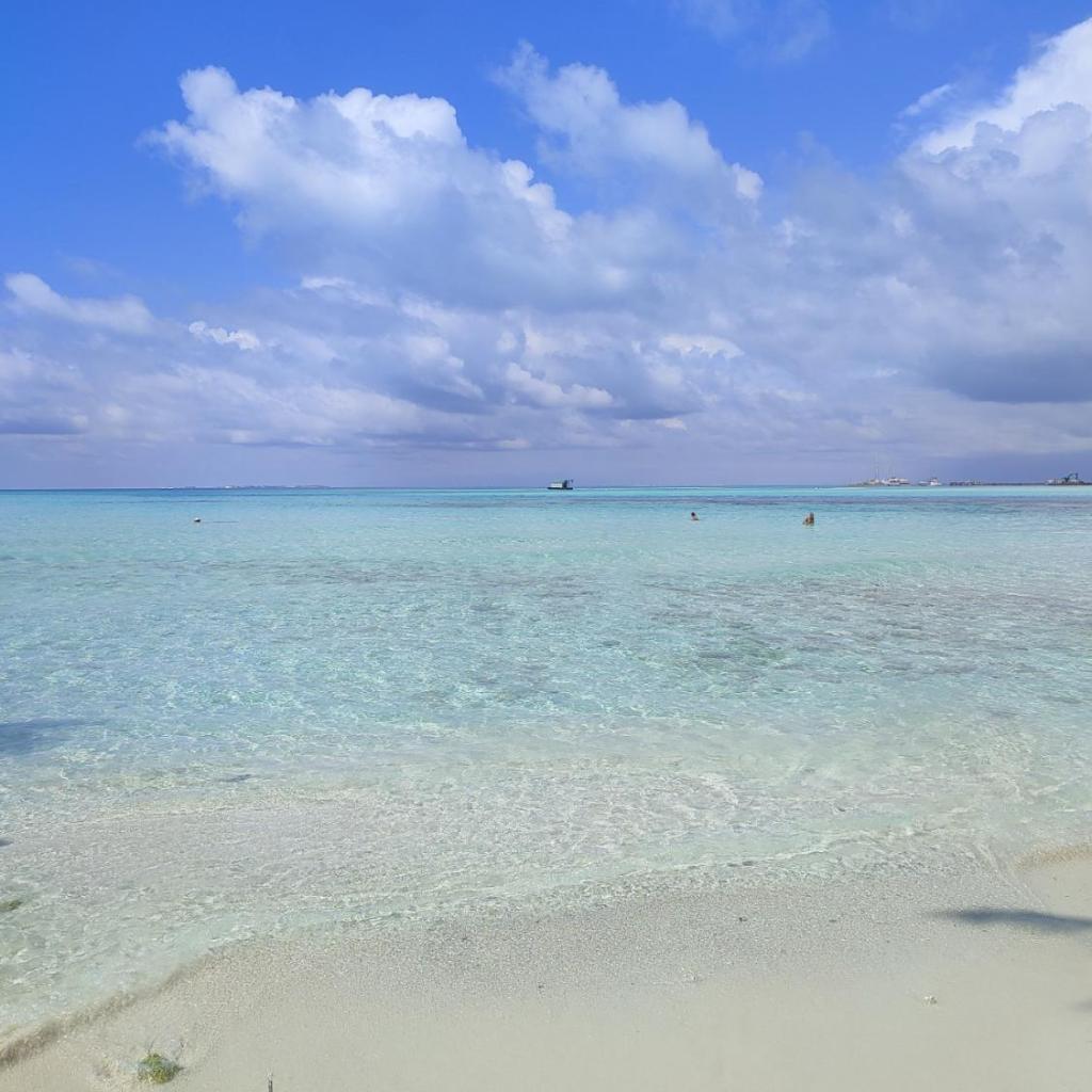 Portia Hotel & Spa - Beachfront, photo 4