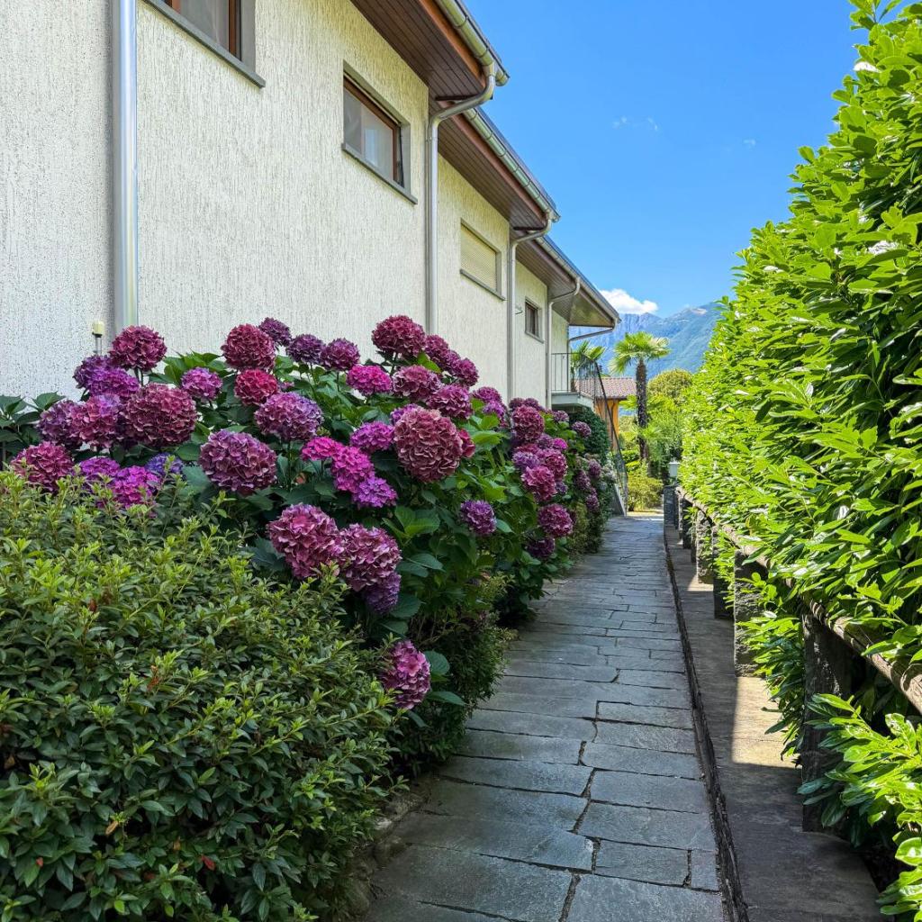 Image 30 - Residenza Vecchio Fiume by HolAp SA