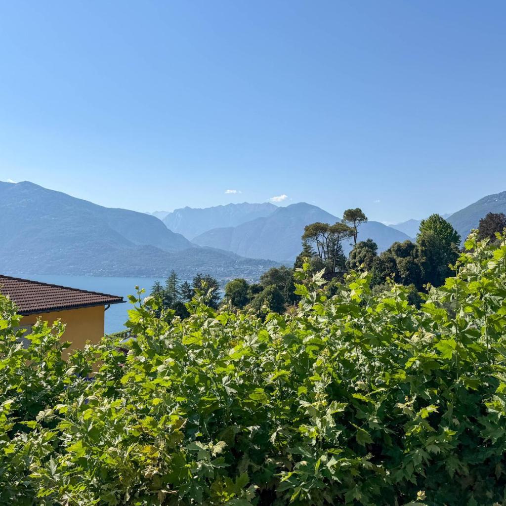Image 5 - Res Roncaccio, Cancro by HolAp SA