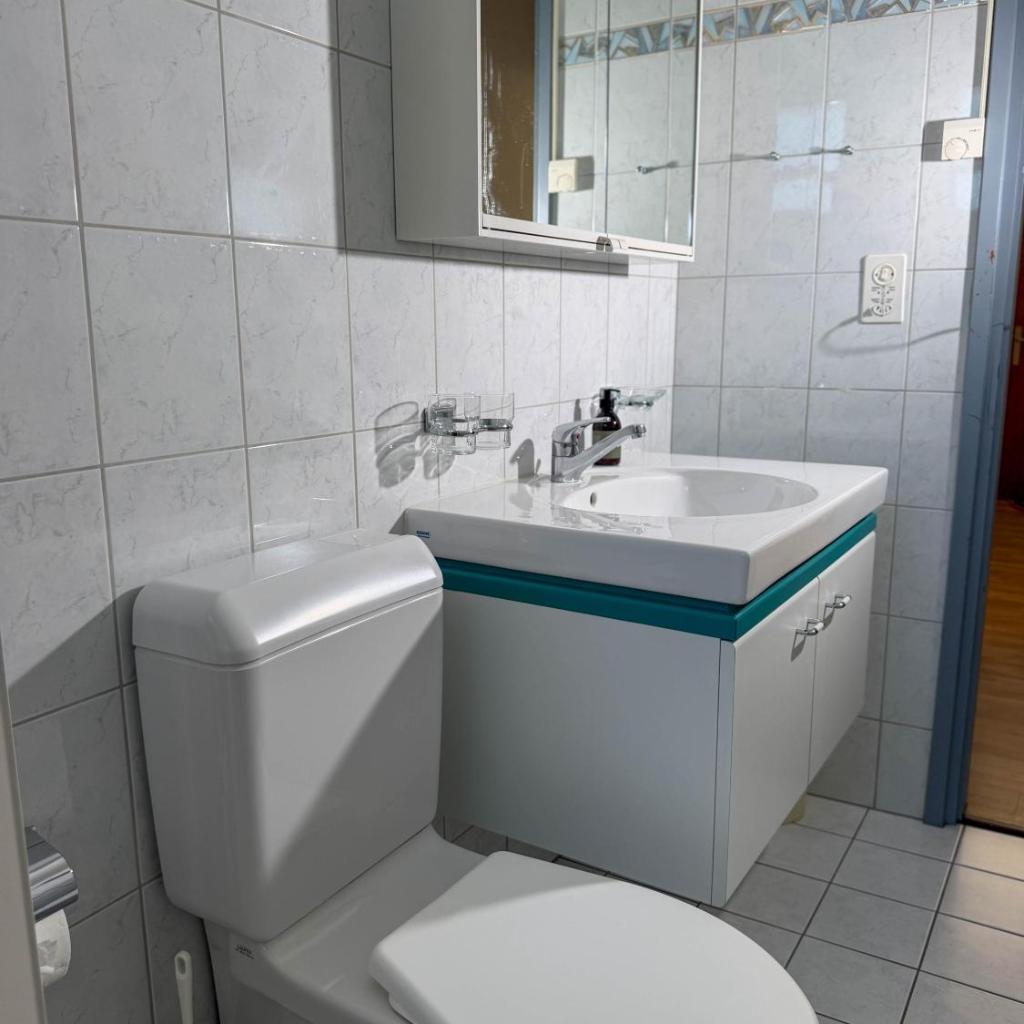 Image 23 - Res Roncaccio, Cancro by HolAp SA