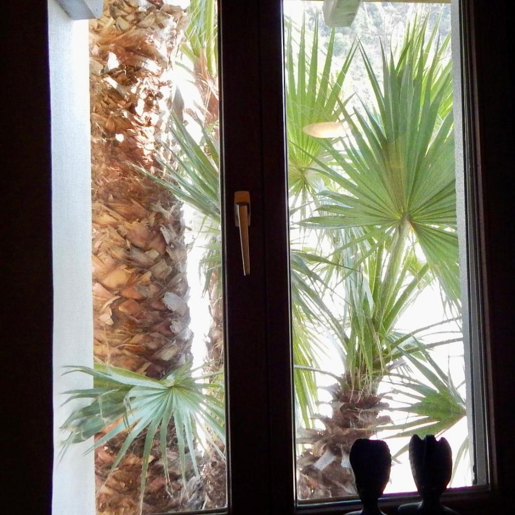 Image 3 - The Palm House Bellinzona
