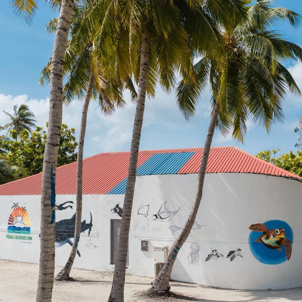Feeali Buddies Inn, photo 2