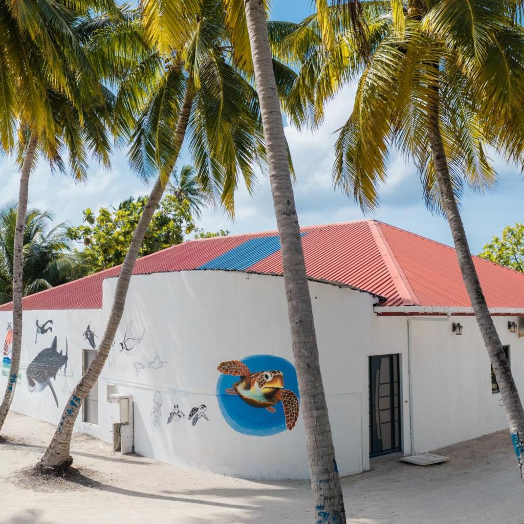 Feeali Buddies Inn, photo 3