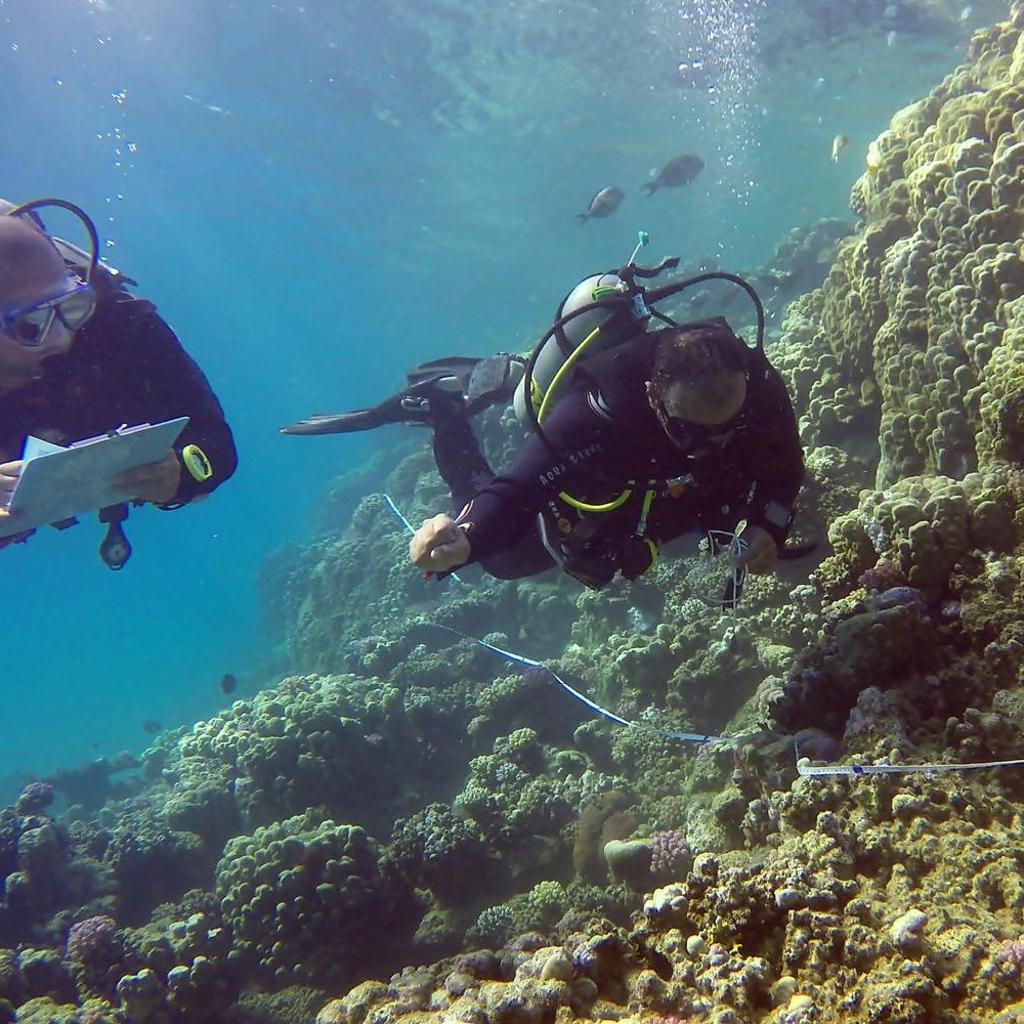 Ocean Stay & Dive, photo 5