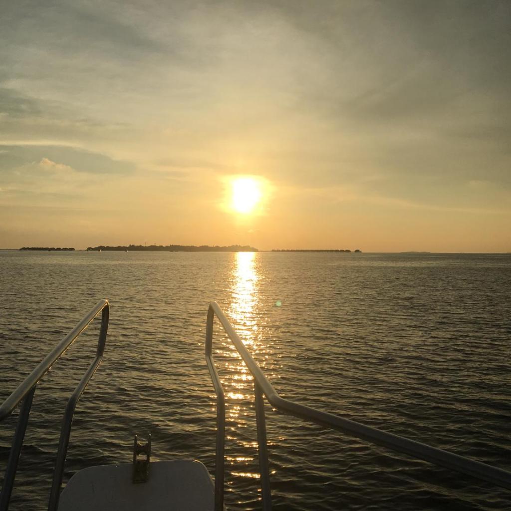 Ocean Stay & Dive, photo 4