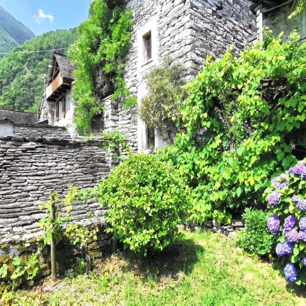 Image 17 - Rustico Caterina - Corippo- Happy Rentals