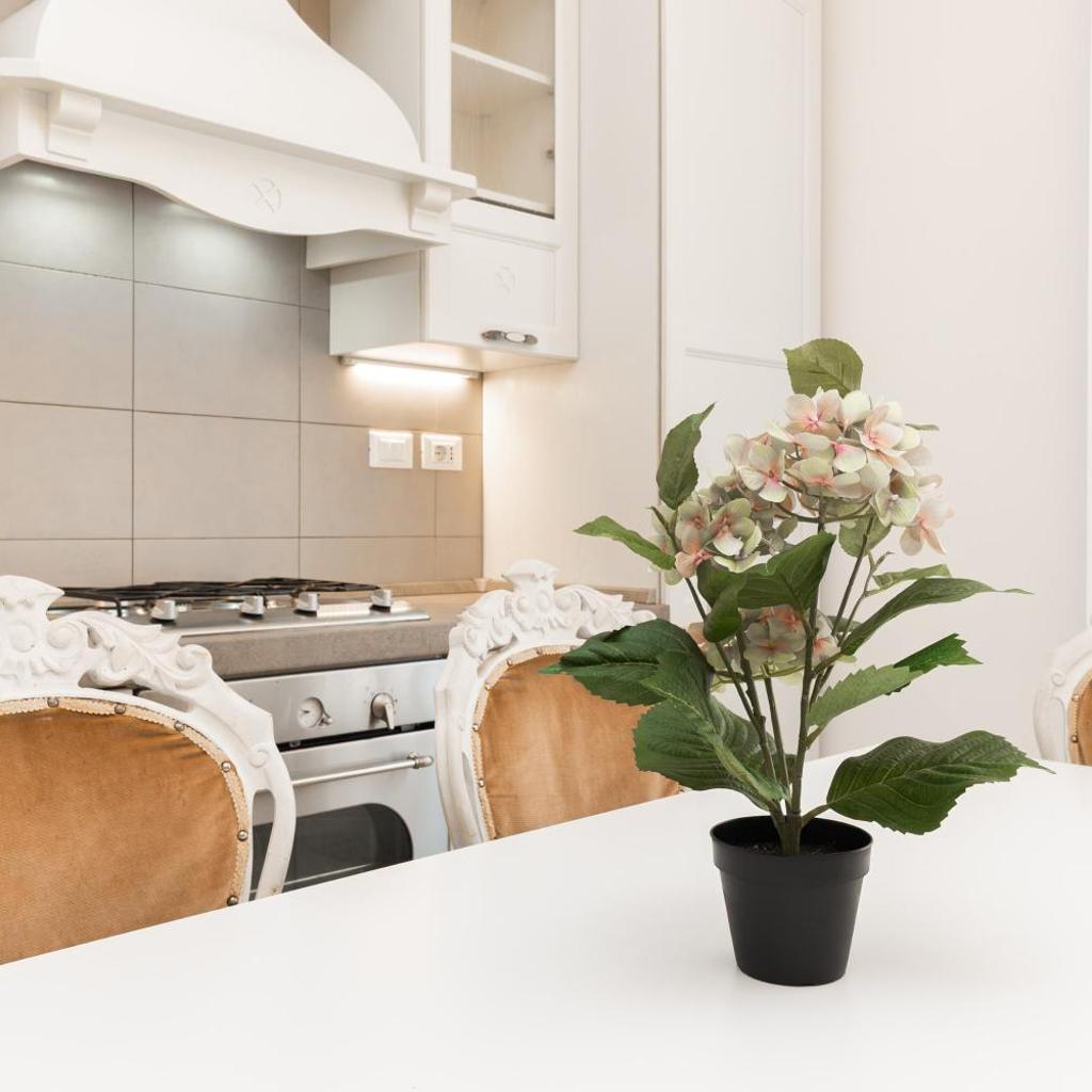 Photograph of Finelli Luxury Apartment, In the Heart of Bologna