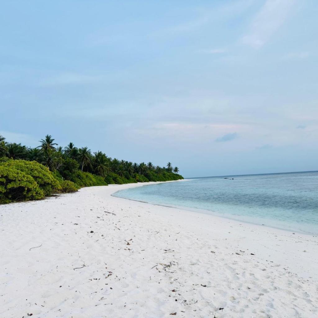 Sevenseas Seaview Maldives, photo 2