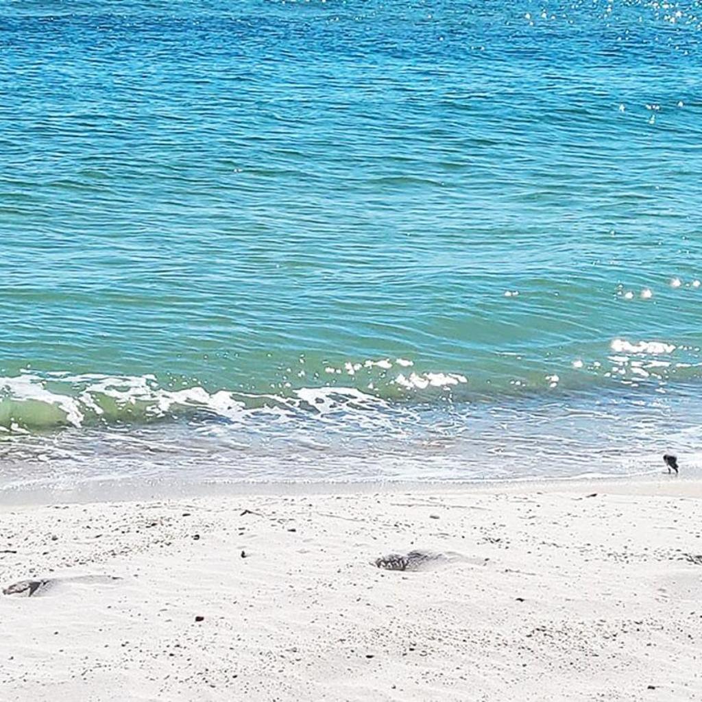 Photograph of Sandy Beach Days Saltwater Poolside Nights