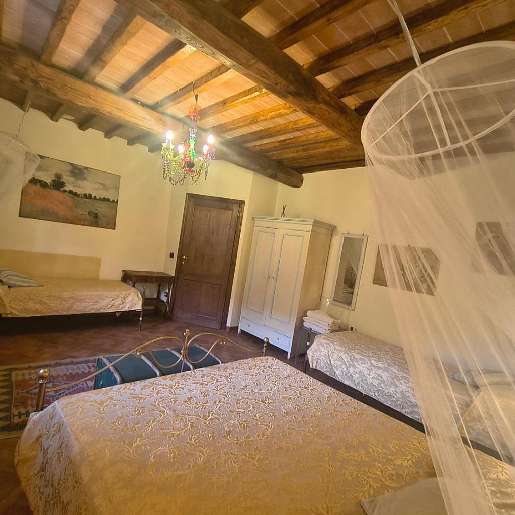 B&B Elisir Toscana photo