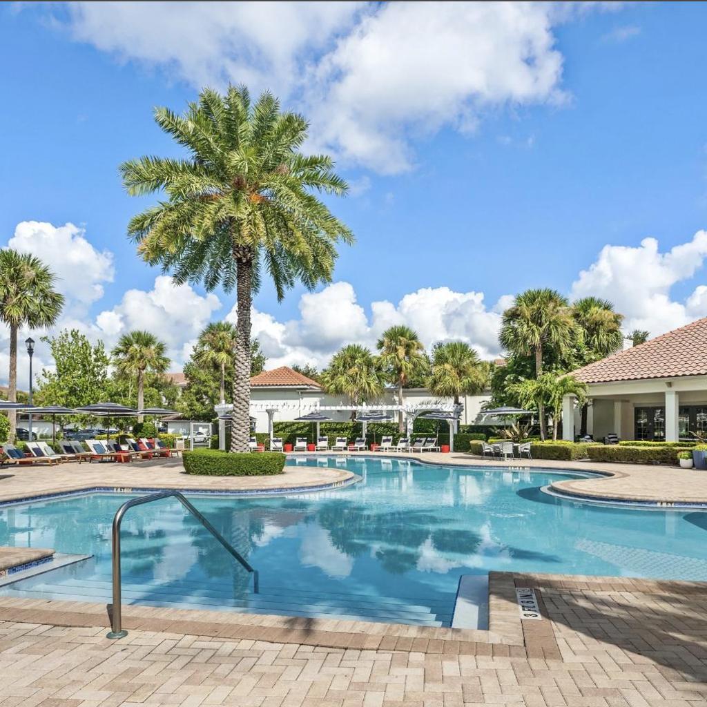 Photograph of Orlando Bliss Near Disney