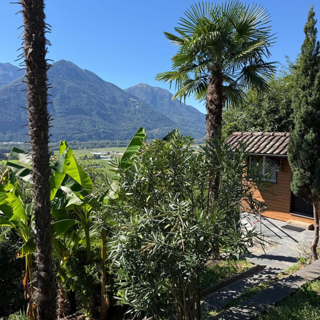 Image 32 - Casa Nido di Rondine by HolAp