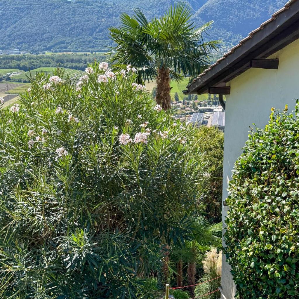 Image 34 - Casa Nido di Rondine by HolAp