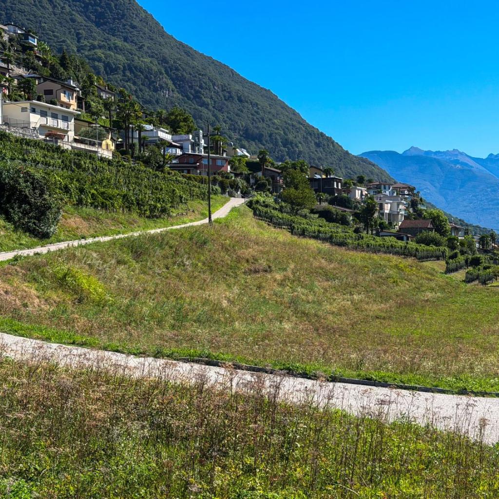 Image 4 - Casa Nido di Rondine by HolAp