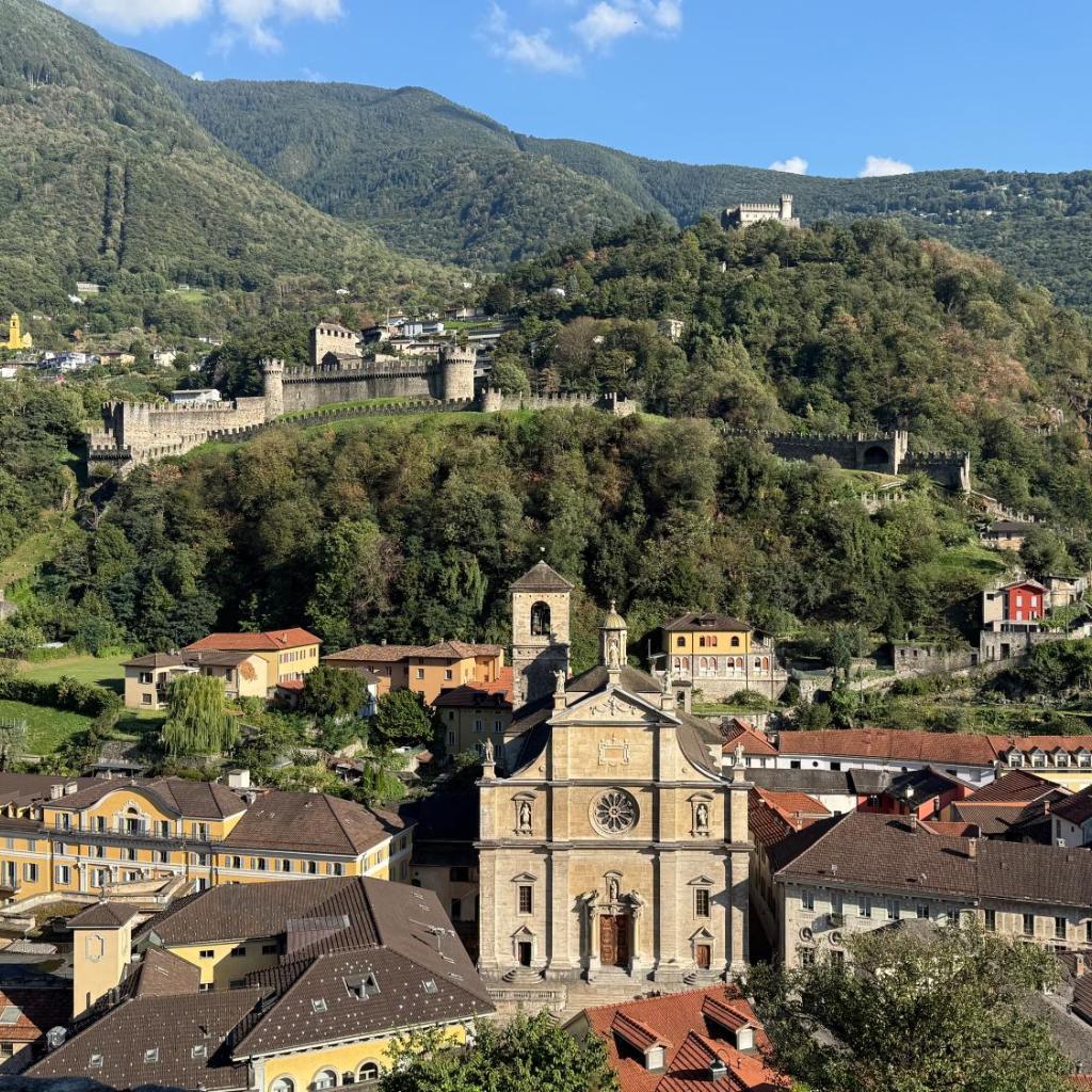 Image 43 - Violet-Sky Bellinzona