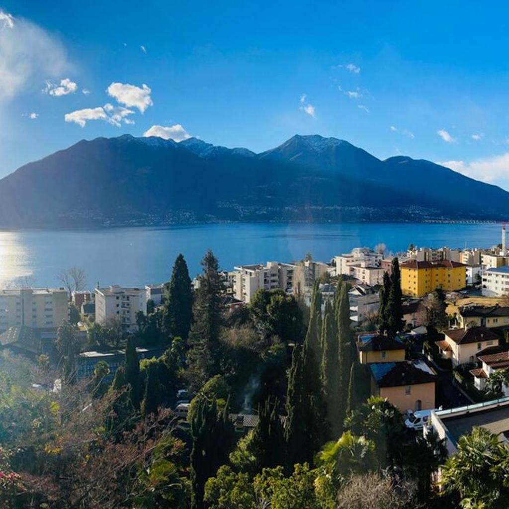Image 2 - Lake View House with Large Terrace in Minusio