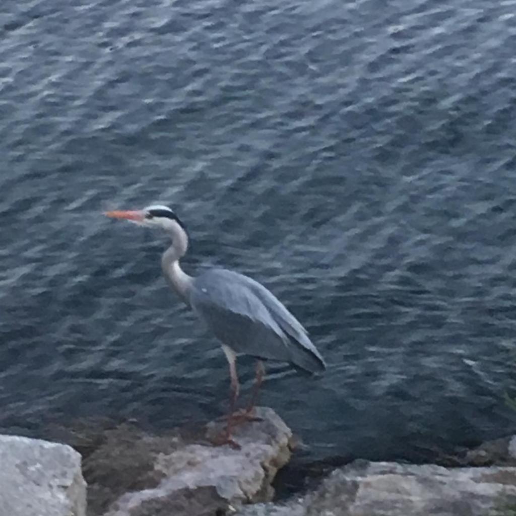 Al Boccalino Bed&Breakfast – Bild