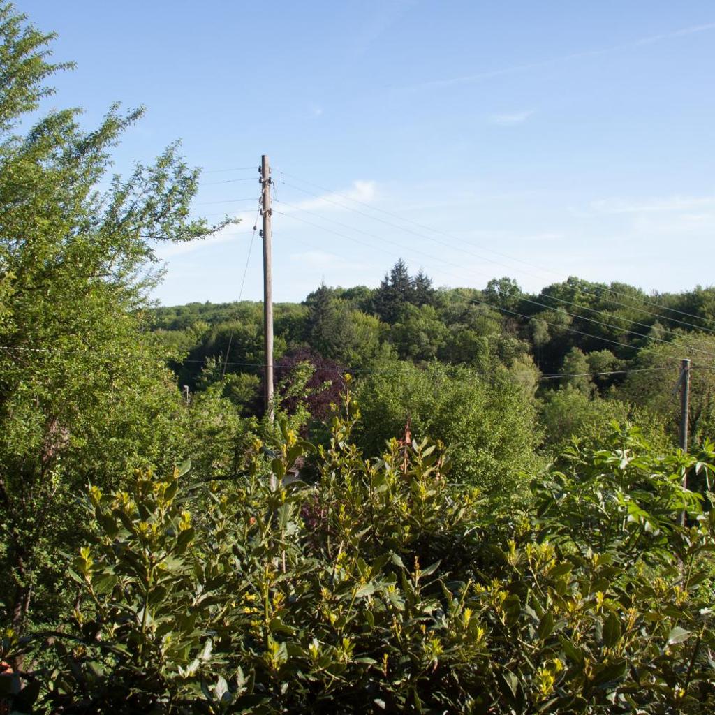 Chez Marianne "chambres d'hôtes" – image