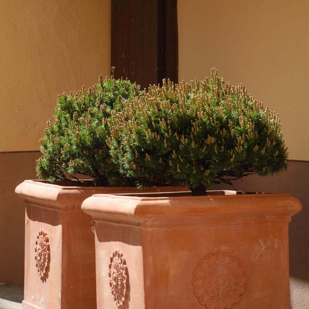 Chez Marianne "chambres d'hôtes" – image