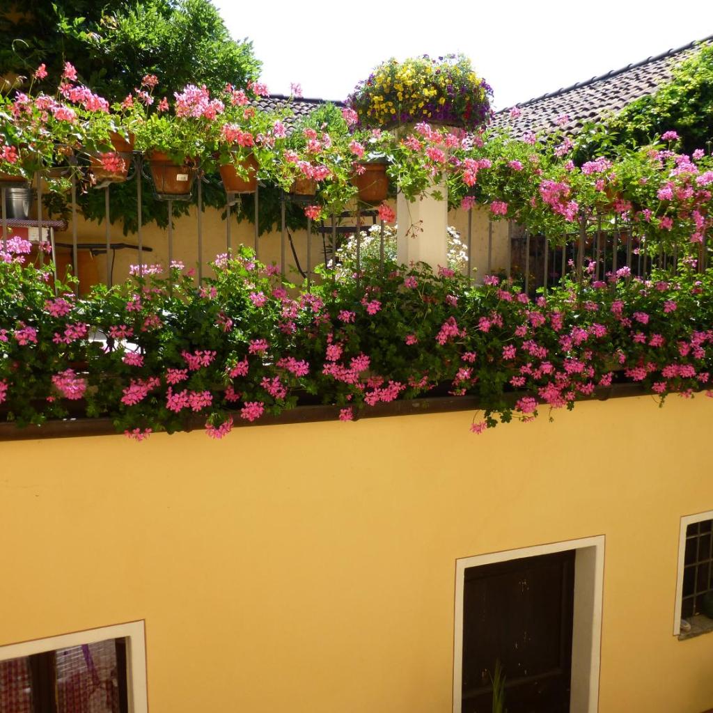 Chez Marianne "chambres d'hôtes" – image