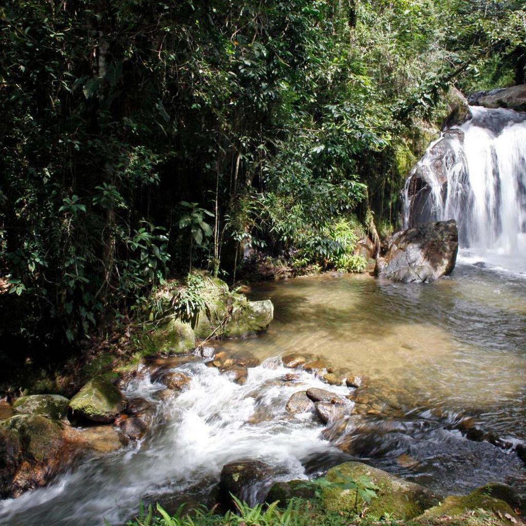 Quinta da Prata — foto 10