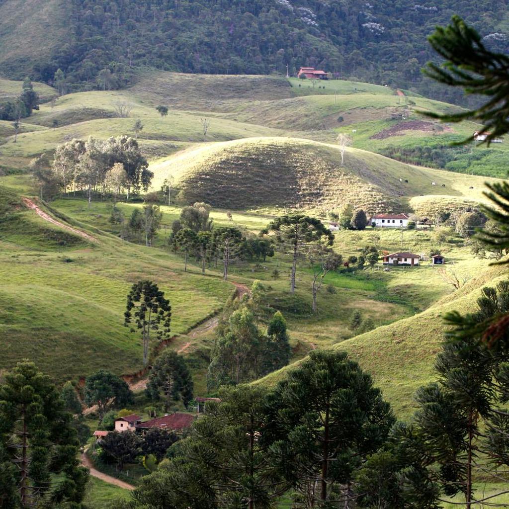 Quinta da Prata — foto 12