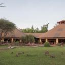 Kilima Safari Camp