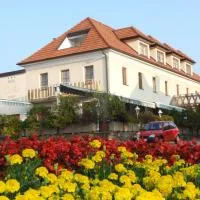 Hotel Geier, хотел в Бад Шунау