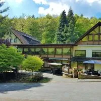 Siegerland-Hotel,弗羅伊登貝格的飯店