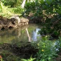 Piscina Natural on the Sea, hotel u gradu Kauita