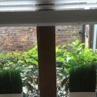 Harpenden House, hotel in Harpenden