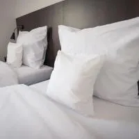 First Hotel โรงแรมในทเชฟ