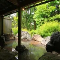 Yunohirakan, hotel u gradu 'Takayama'