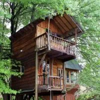 Sycamore Avenue Treehouses & Cottages Accommodation, hotel i Windy