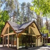 Chudodiyevo Park- Hotel, ξενοδοχείο σε Vyshpolʼ