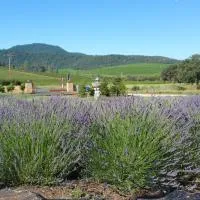 Thorn Hill Vineyards Villa Suites, hotel u gradu 'Clear Lake Riviera'